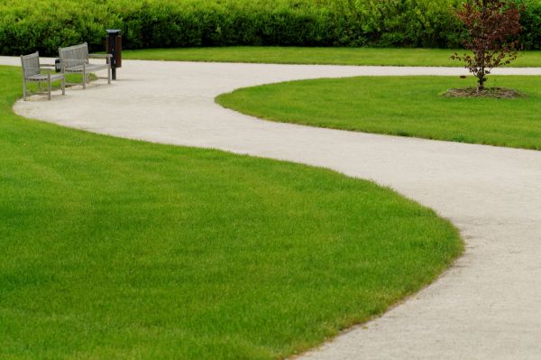 Cost of Concrete Walkway Installation in Clayton