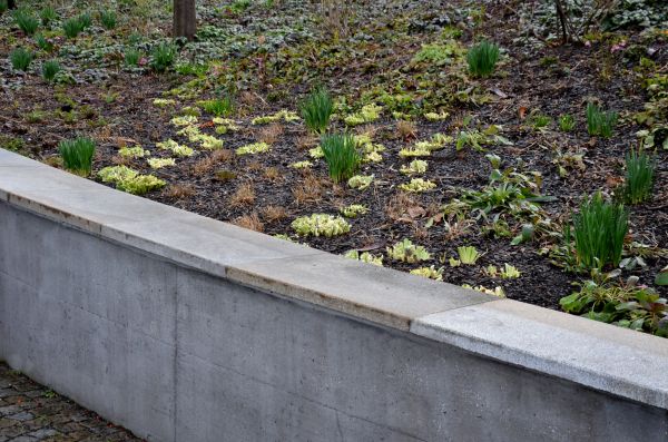 Concrete Wall Construction in Clayton