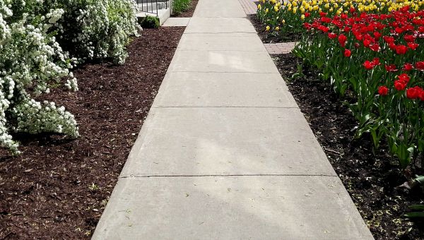 Cost of Cement Sidewalk Installation in Clayton