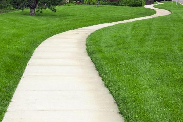 Cost of Sidewalk Paving in Clayton